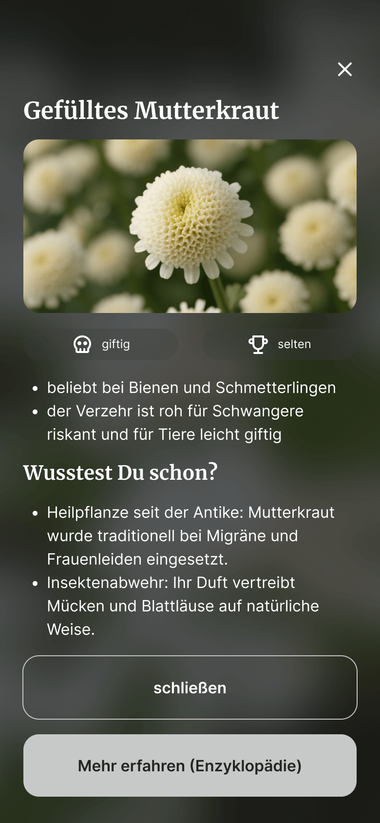 Button Iteration Nachher 2
